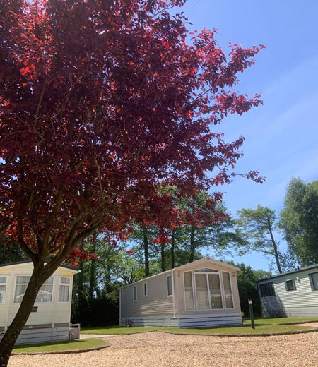 Lamb Cottage Caravan Park photo 4