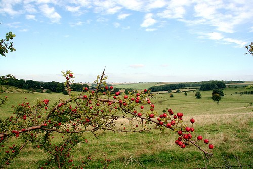 LincolnshireWolds