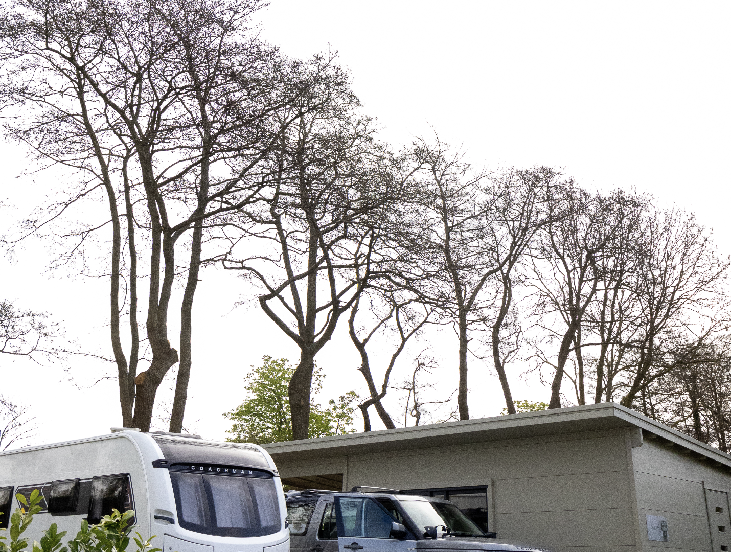 Concierge Camping West Sussex - Best of British photo 5