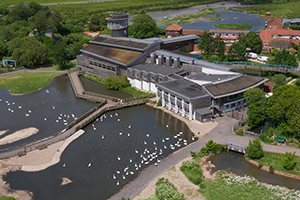 Slimbridge Wetland Centre Best Caravan Holiday Parks