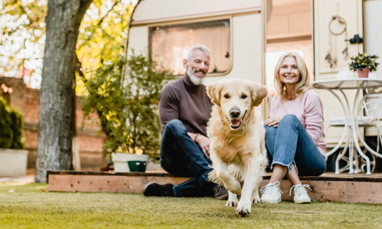 Portrait of labrador running to the camera with senior caucasian couple in the background near caravan home