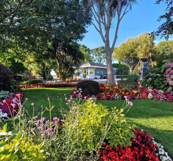 Hendra Holiday Park – Award Win For Their Floral Displays!